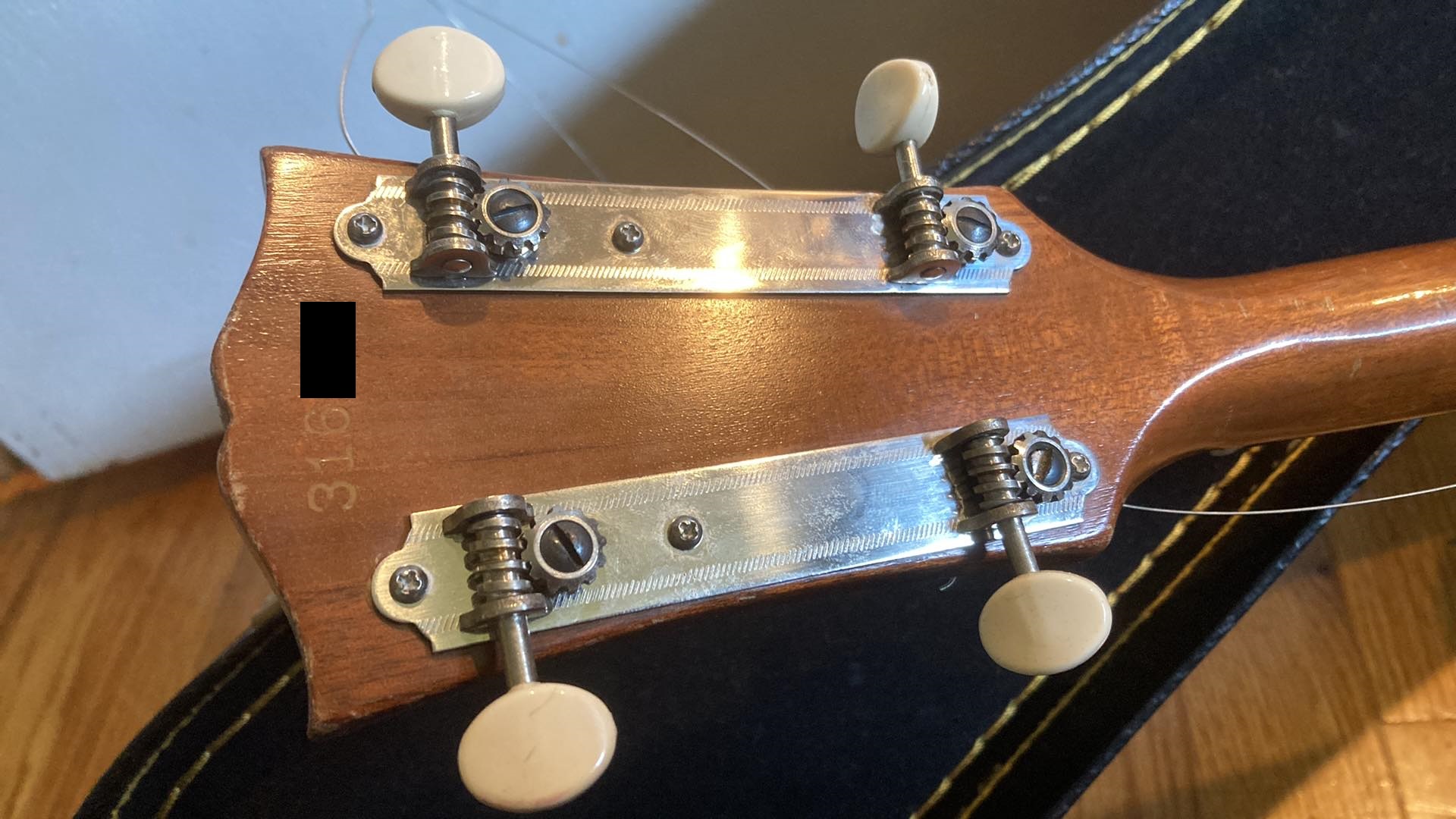 TG0 Headstock Back.jpg