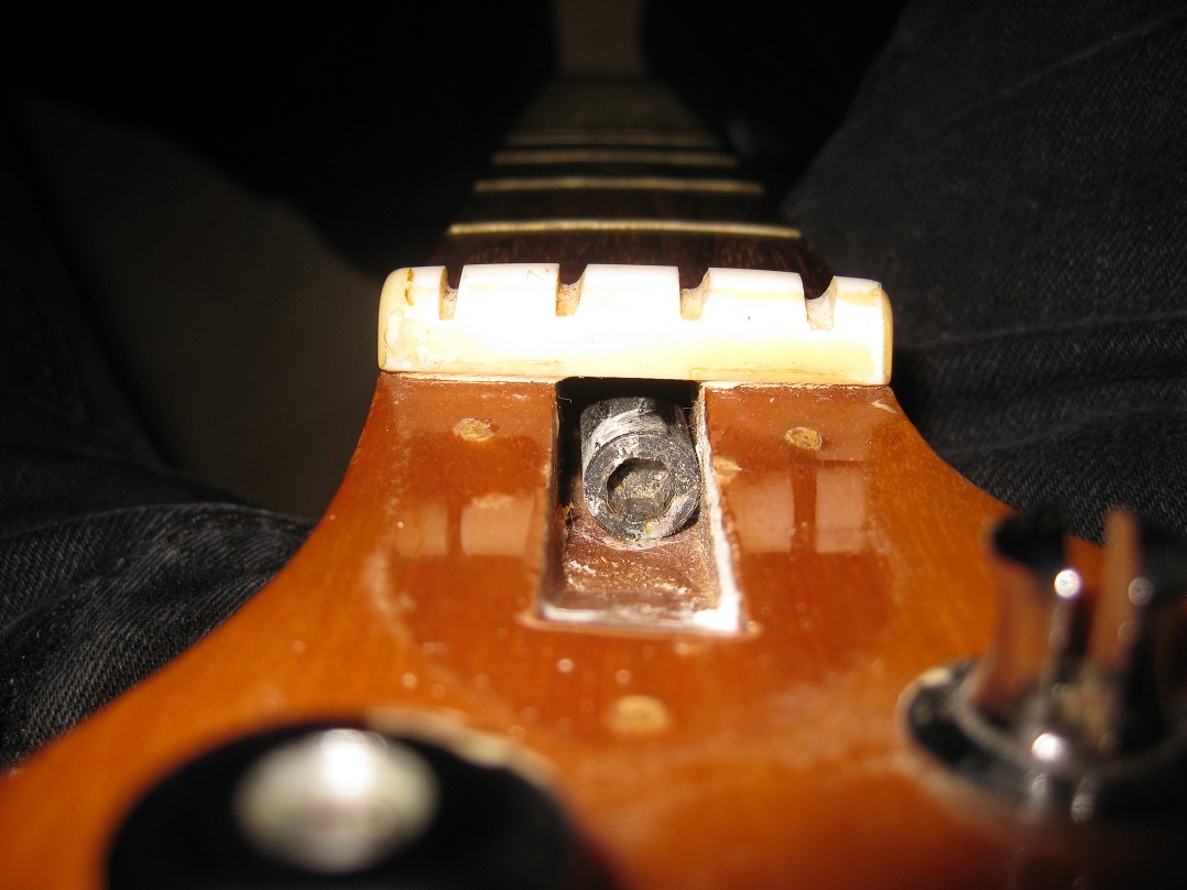 Aria_bass_truss_rod_screw.jpg