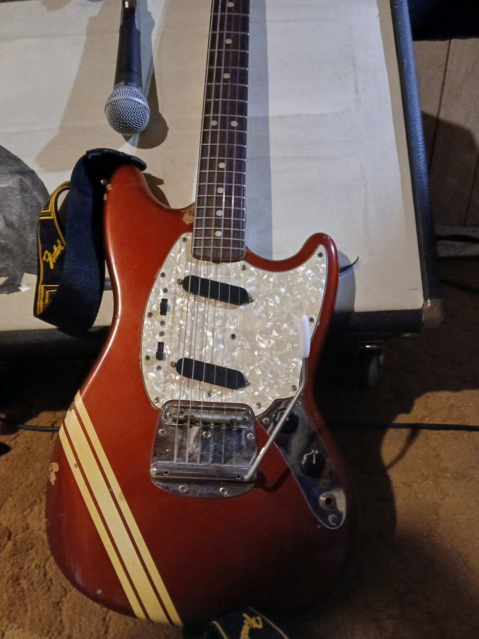 stang6.jpg