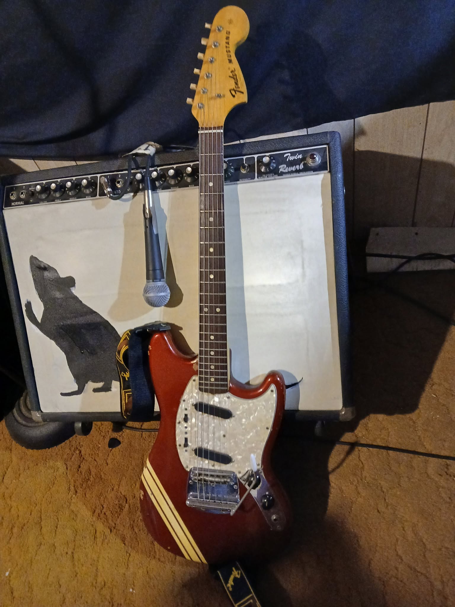 stang2.jpg