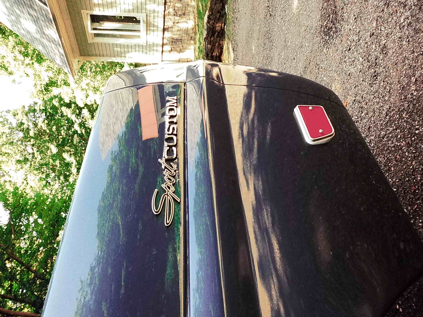 DSCF0047 (Large).JPG