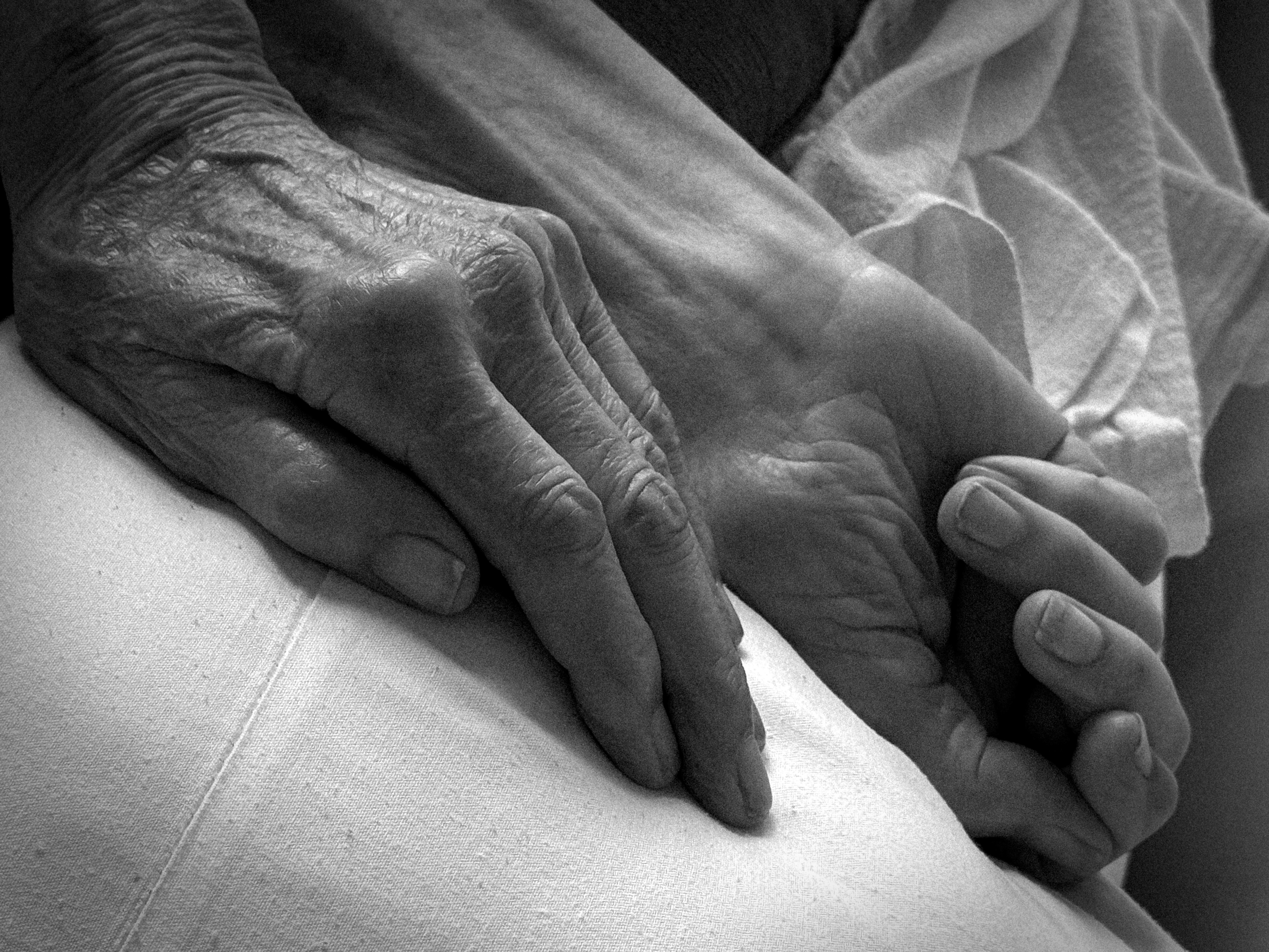 dads hands.jpeg