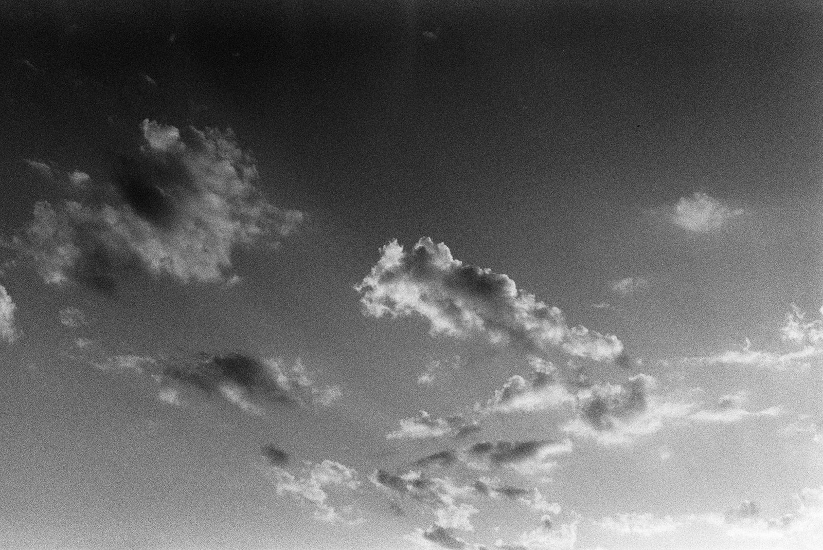 IMG_9373.jpeg
